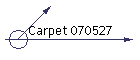 Carpet 070527
