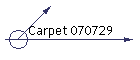 Carpet 070729