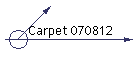 Carpet 070812