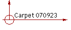 Carpet 070923