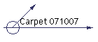 Carpet 071007