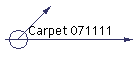 Carpet 071111