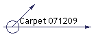 Carpet 071209