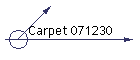 Carpet 071230