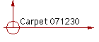 Carpet 071230