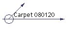 Carpet 080120