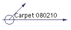 Carpet 080210