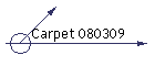 Carpet 080309