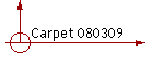 Carpet 080309